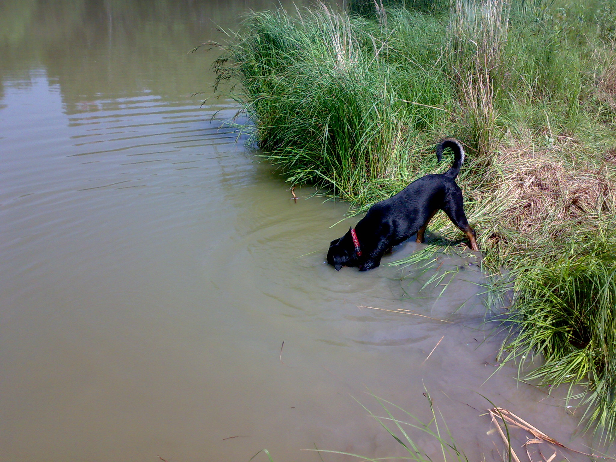 26052009286.jpg